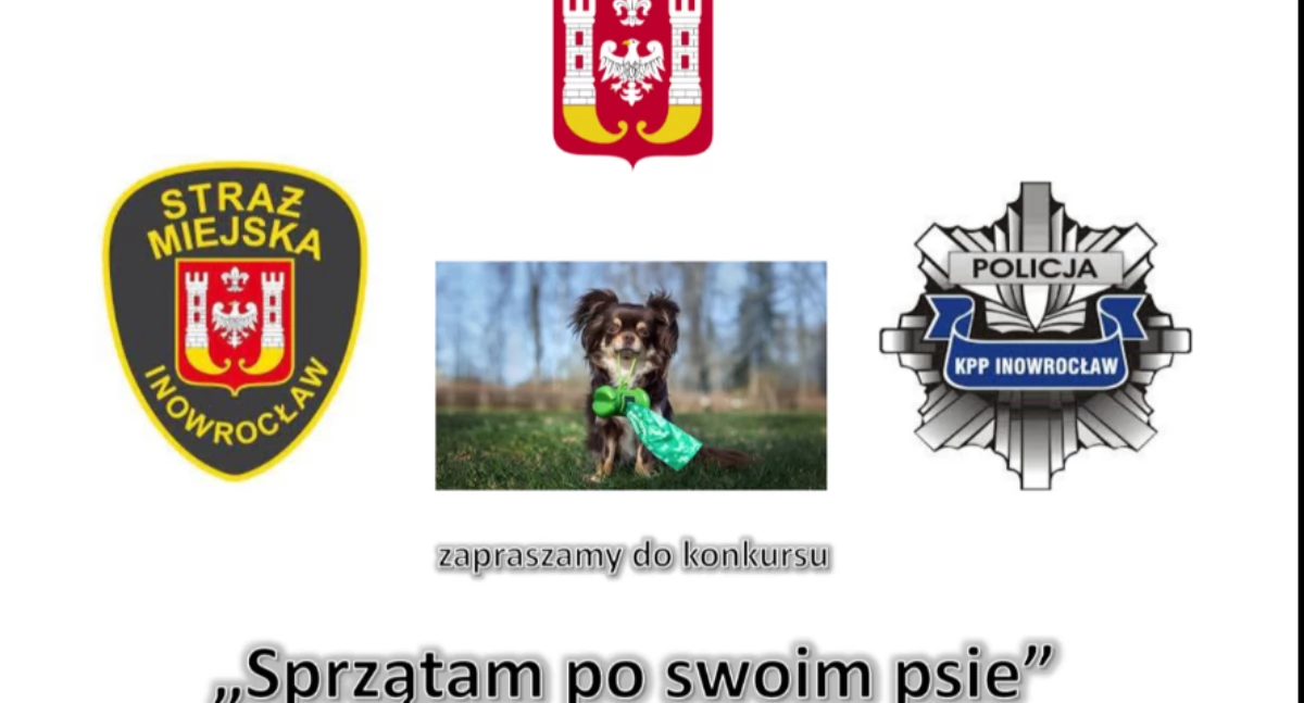 Konkurs - Sprzątam po swoim psie
