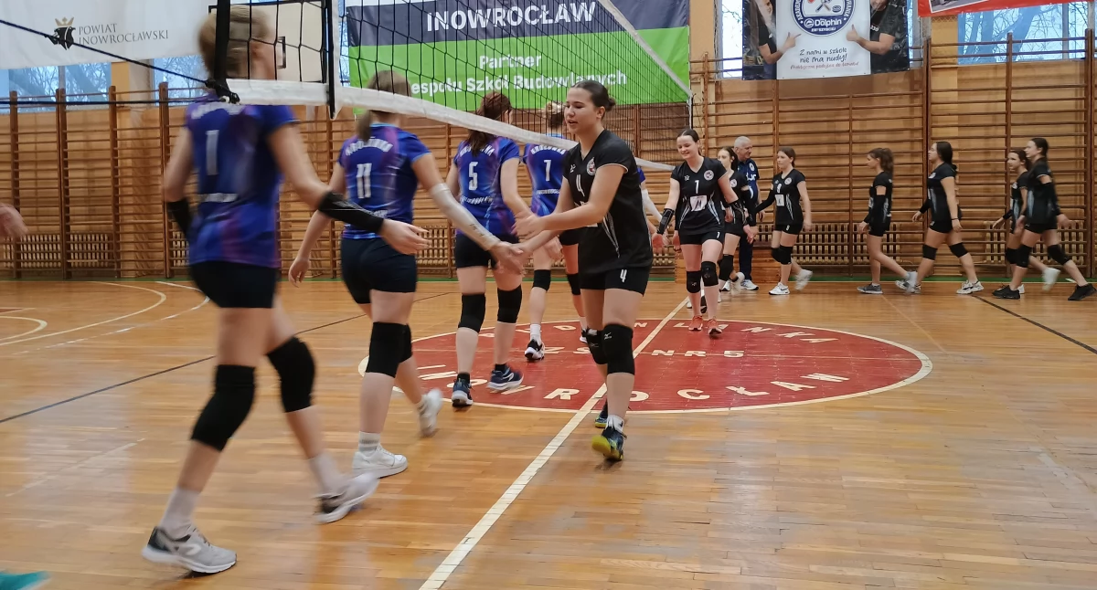 Konopa najlepsza pod siatką