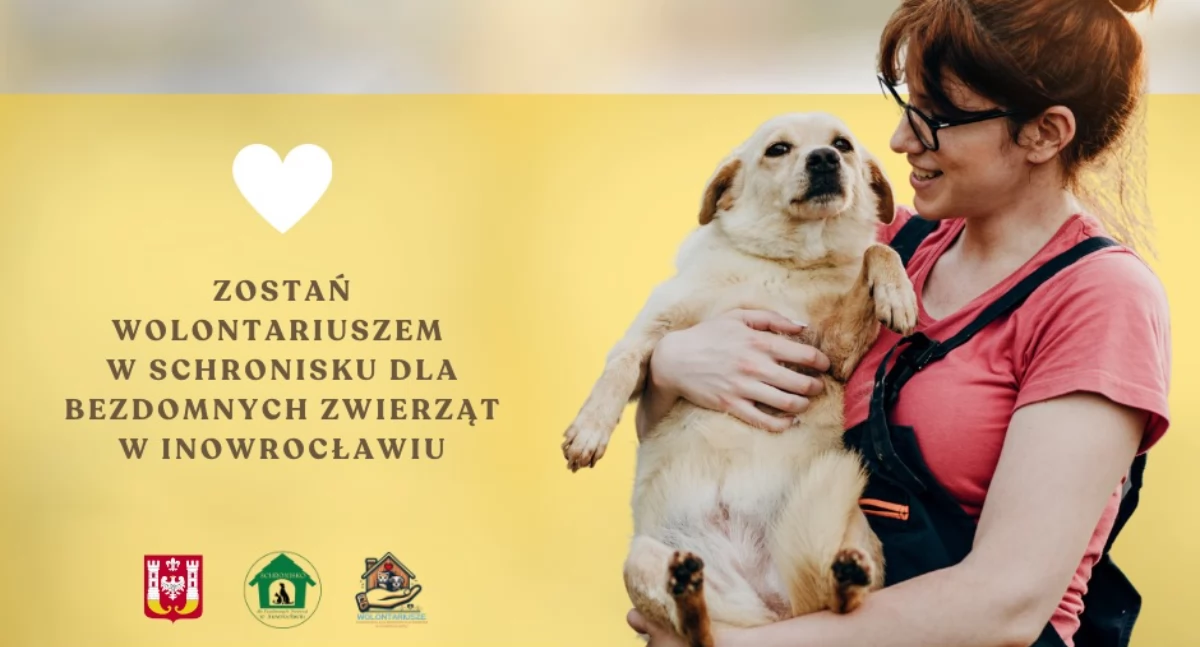 Wolontariat w schronisku dla zwierząt w Inowrocławiu – dołącz do nas!