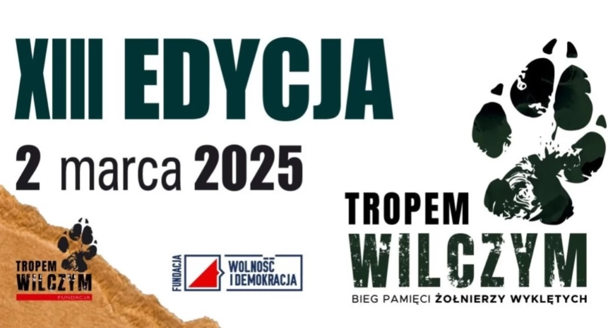 Znów pobiegną tropem wilczym