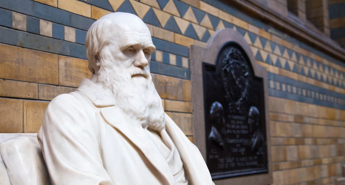 Dzień Darwina: Święto odkryć naukowych 12 lutego