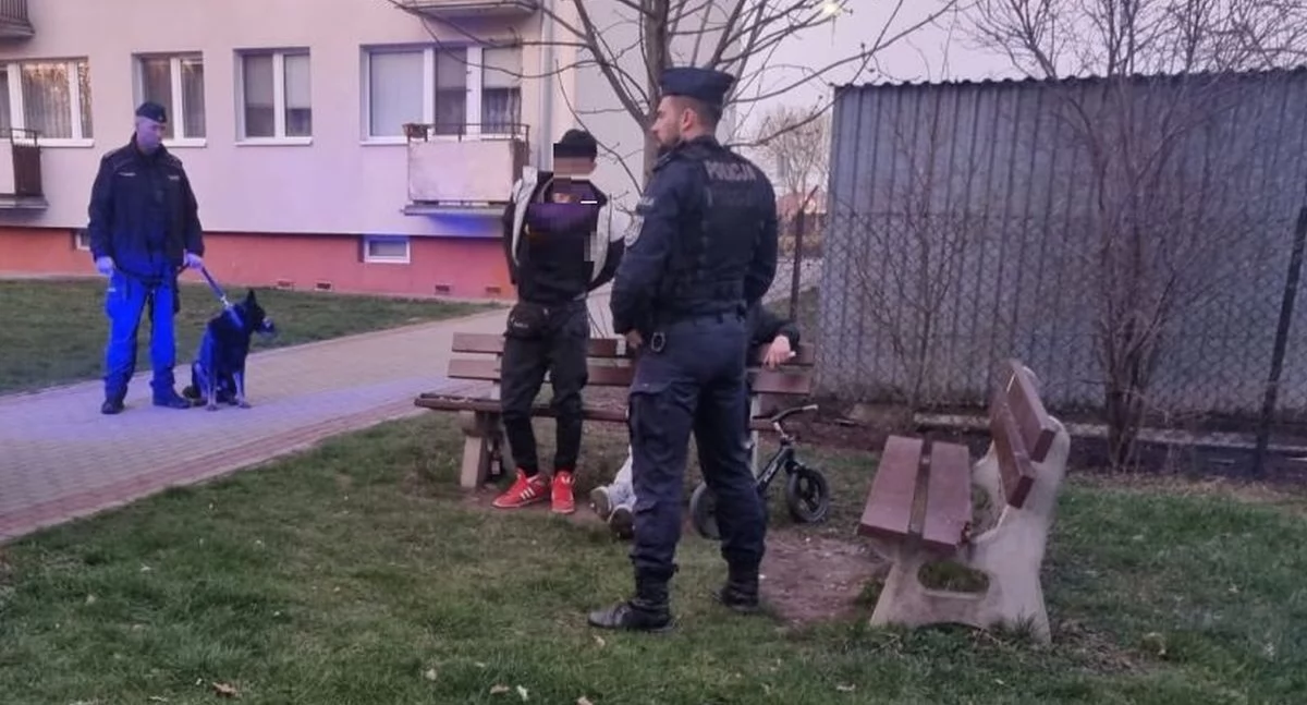 Policjanci reagują na popełniane wykroczenia i interweniują