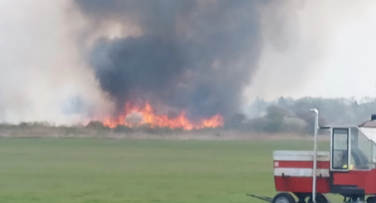 Płonęła trawa na Kozłówce