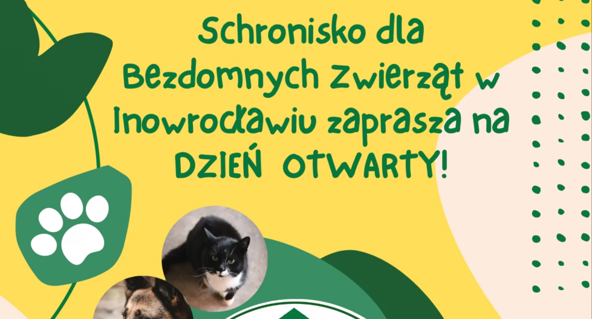 Dzień Otwarty w Schronisku w Inowrocławiu - Spędź Sobotnie Przedpołudnie Ze Zwierzakami