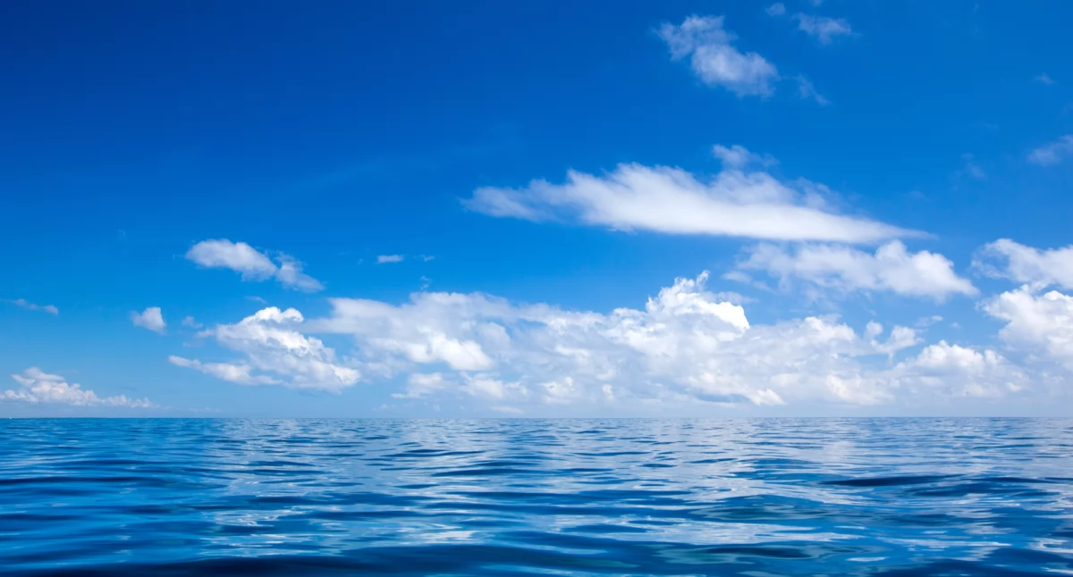 Światowy Dzień Oceanów: Dlaczego Warto Go Obchodzić?