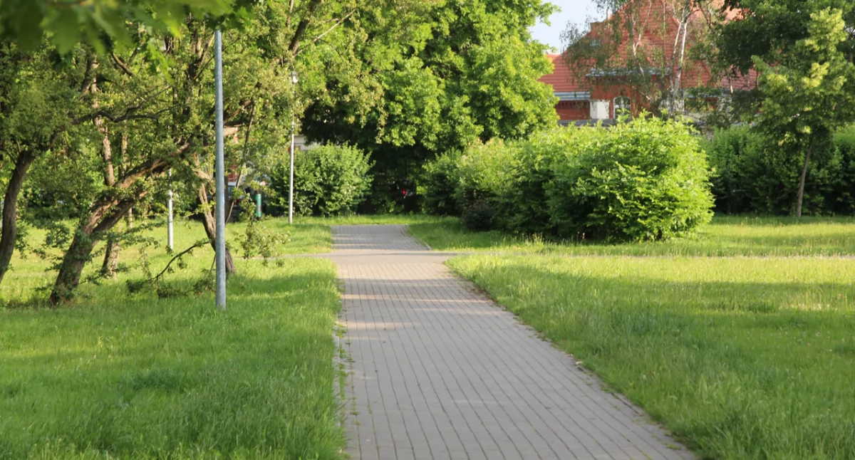 Ekologiczny projekt Inowrocławia: Przetarg na ogród deszczowy przy ul. Glinki