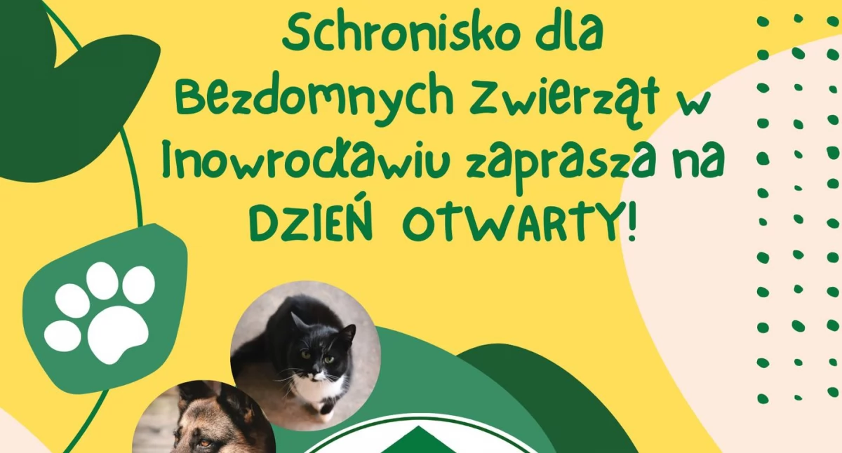 Dzień Otwarty w schronisku w Inowrocławiu - warto być!