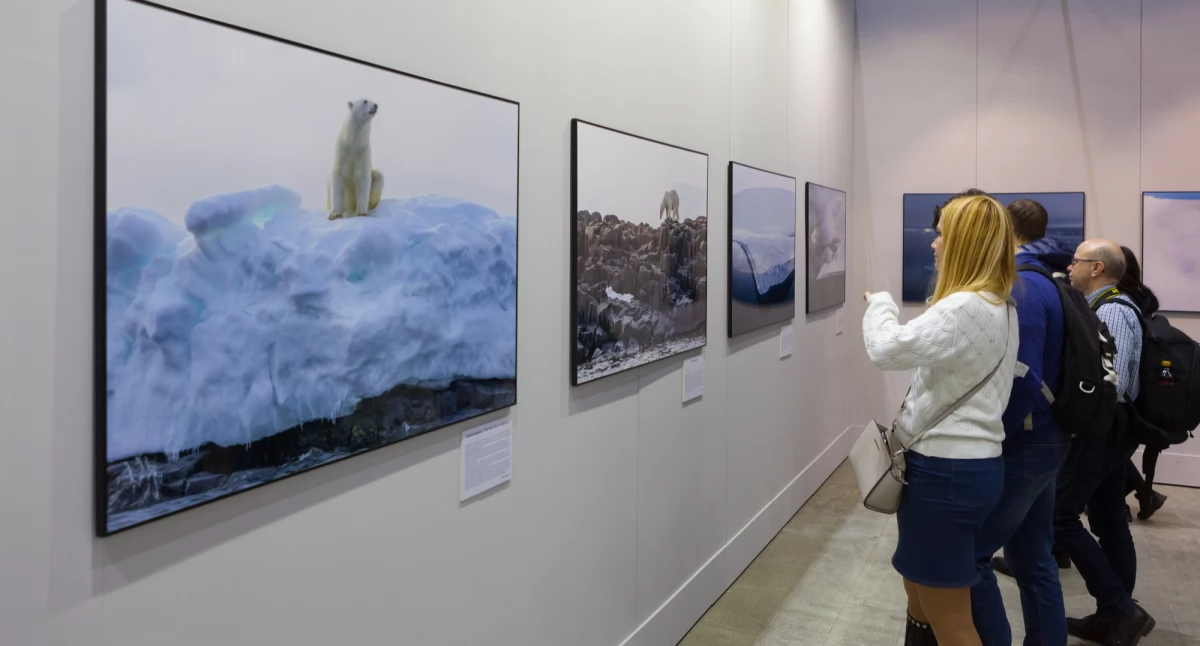 Jak organizować wystawy fotograficzne oraz prezentować swoje prace