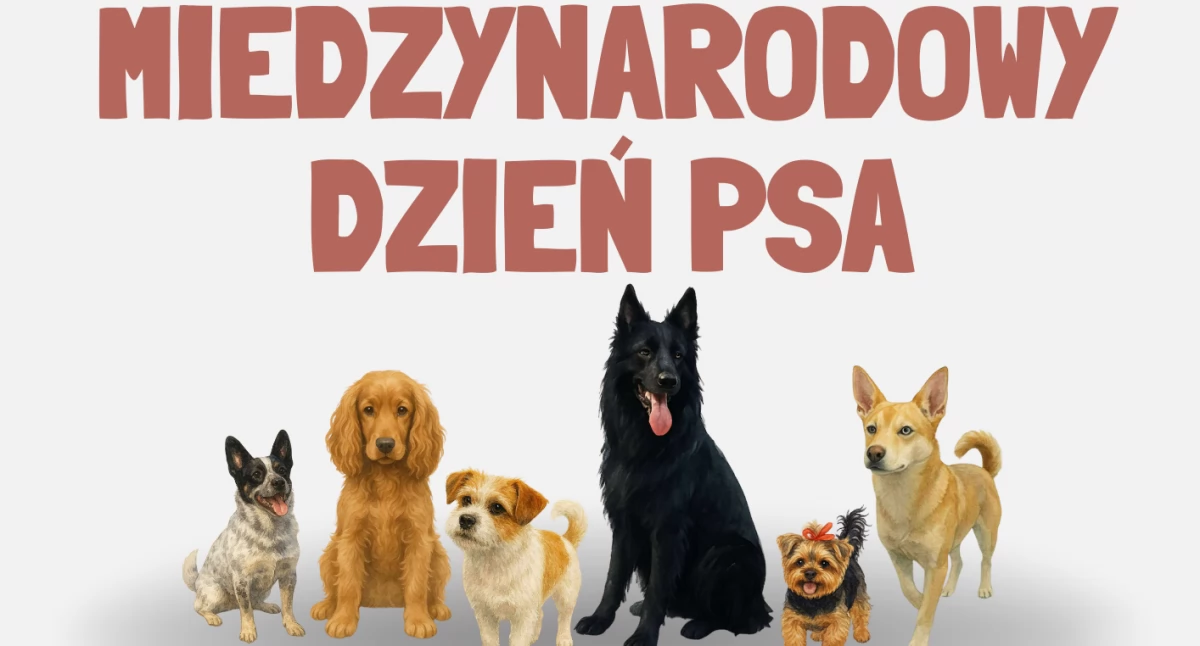 Międzynarodowy Dzień Psa w Inowrocławiu