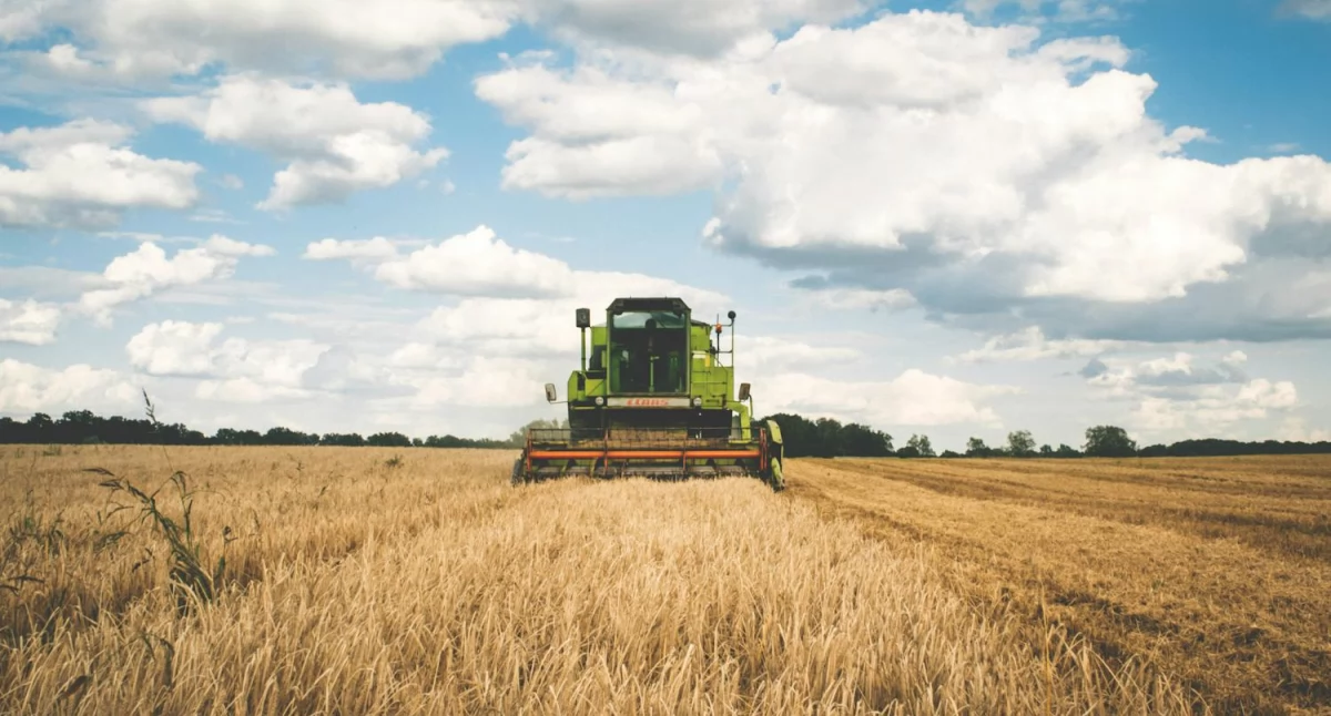 Części do sit w kombajnach Claas Dominator 98 – jak je regulować i czyścić?