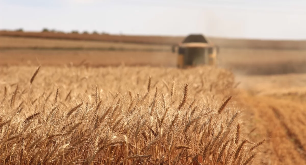 Sklep.AgroProfil.pl - Internetowy sklep rolniczy dla nowoczesnych gospodarstw i pasjonatów wsi