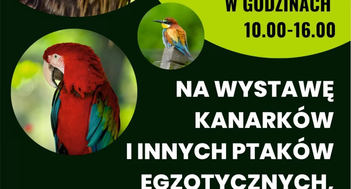 Ptaki egzotyczne ponownie w MDK