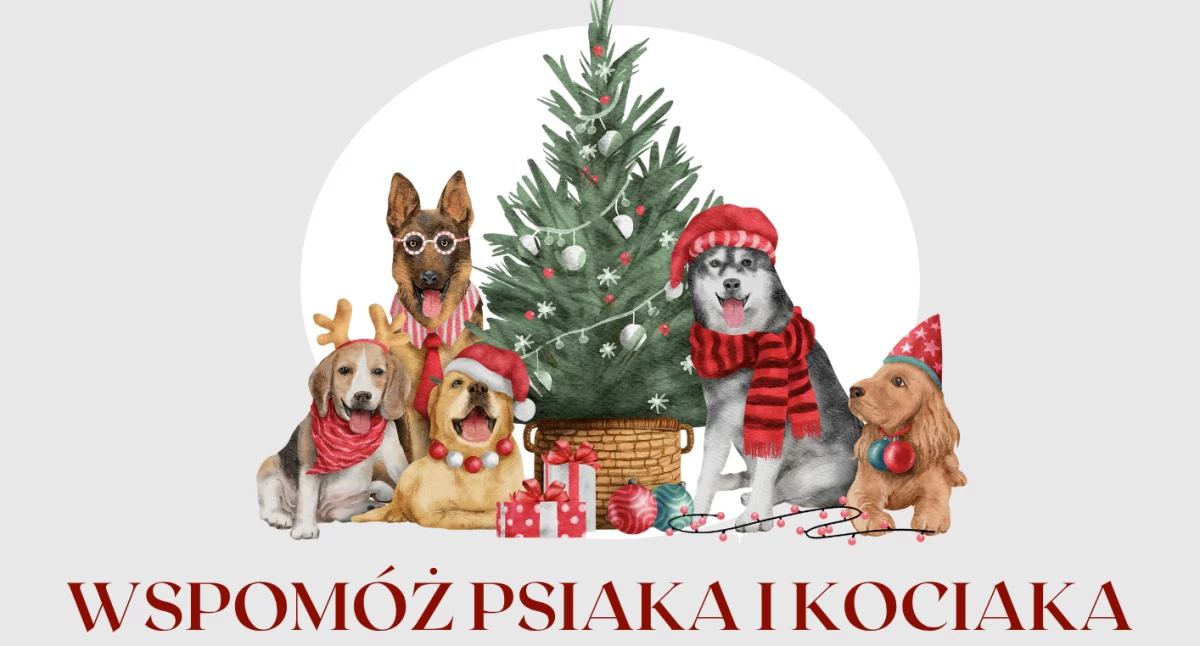 Wspomóż psiaka i kociaka