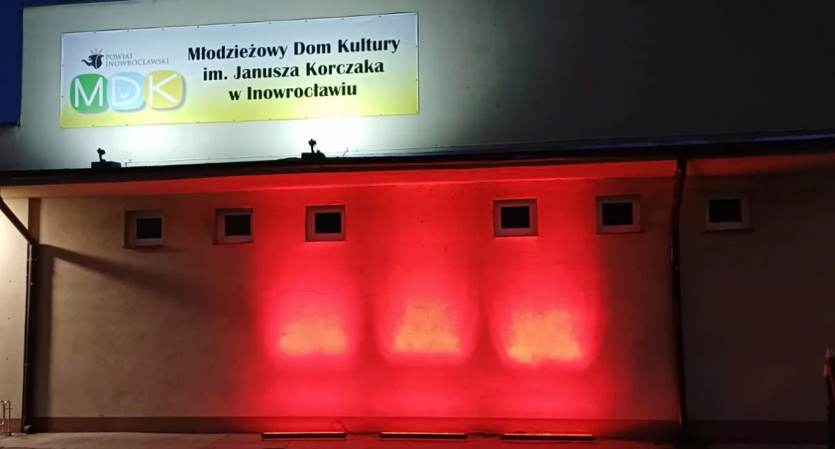 Ogólnopolska Kampania Dzieciństwo bez Przemocy – Czerwone Światło dla Krzywdzenia Dzieci