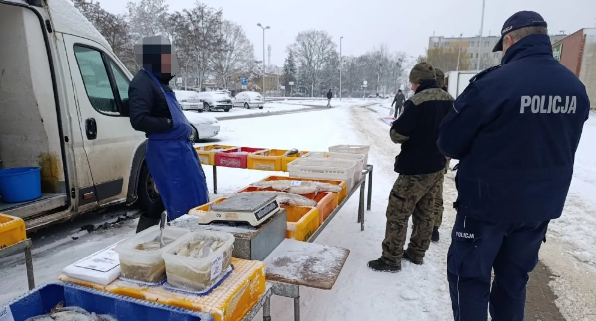 Świąteczne kontrole na targowiskach: Bezpieczeństwo ryb pod lupą!