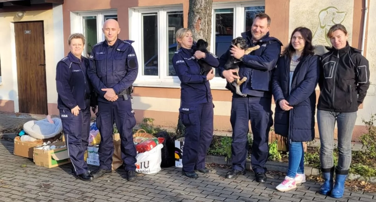 Pomagają i chronią również zwierzęta