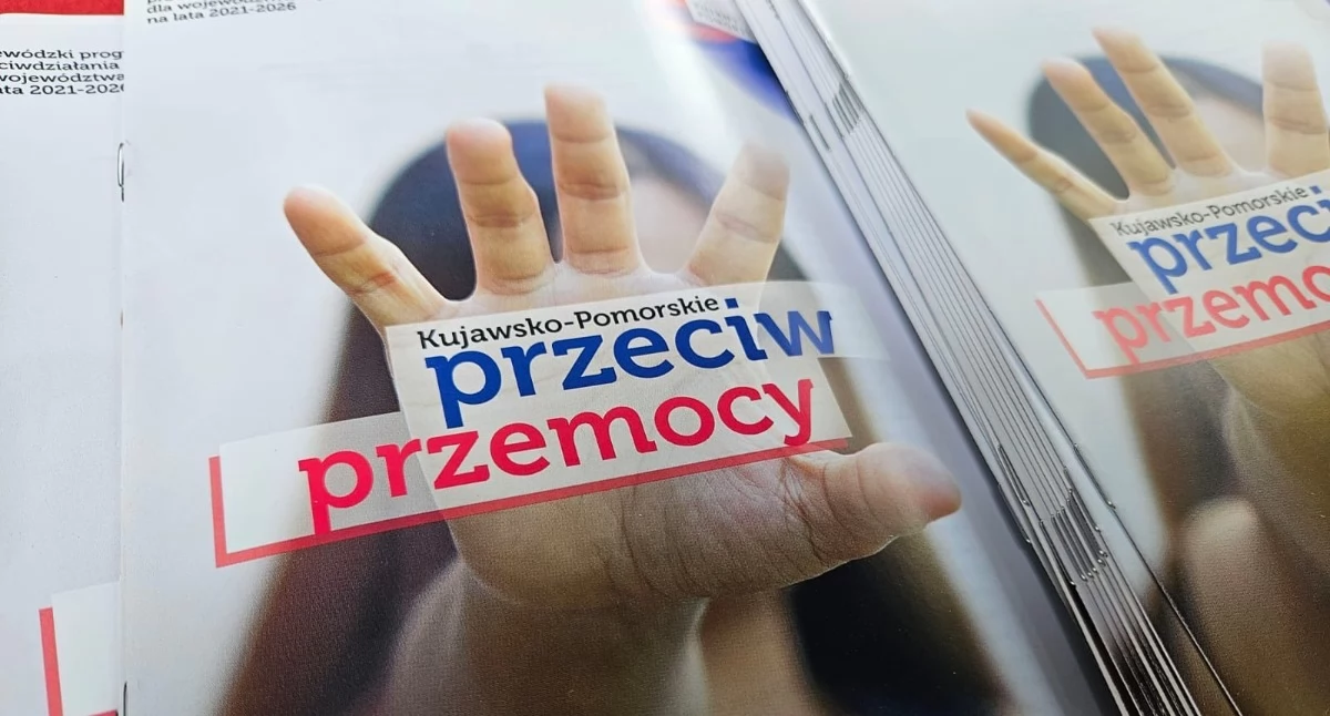 Wsparcie dla osób dotkniętych przemocą domową