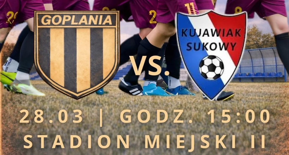 Goplania wraca na murawę