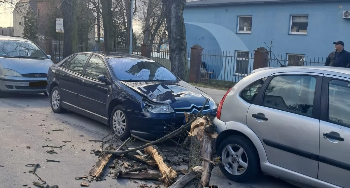 Pracowita Wielkanoc strażaków. Ponad 30 interwencji w powiecie