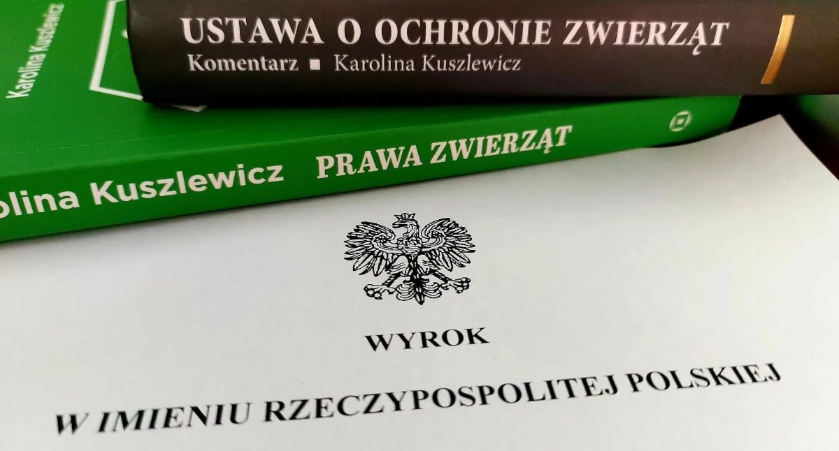 Wyrok w sprawie śmierci psa w Inowrocławiu. Sąd orzekł 10 lat zakazu posiadania zwierząt