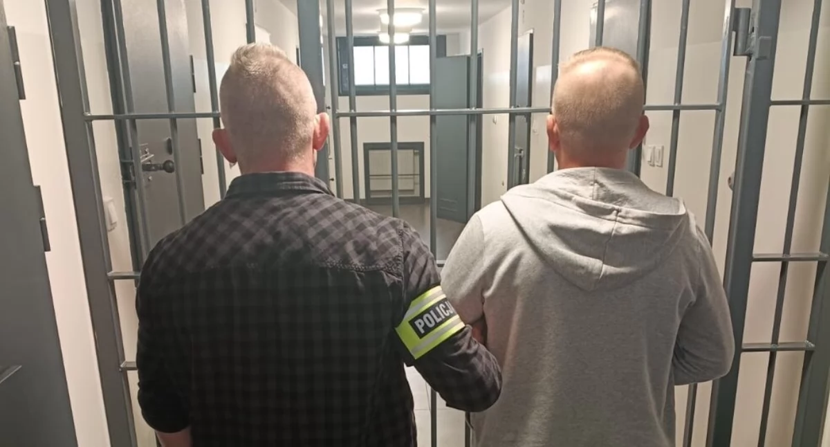 Atak na policjantów, 49-latek trafił do aresztu