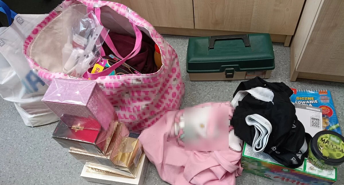 Zarzuty kradzieży dla dwóch kobiet. Jedna z nich odpowie w warunkach recydywy