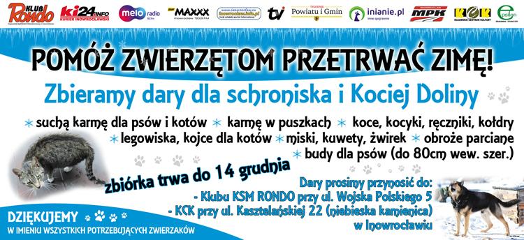 V medialna zbiórka dla zwierząt już się rozpoczyna