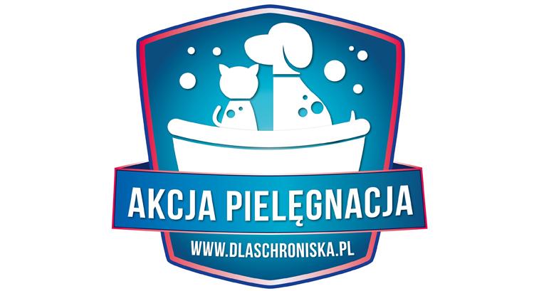 Zadbaj o zdrowie i urodę… bezdomnych zwierzaków z Inowrocławia