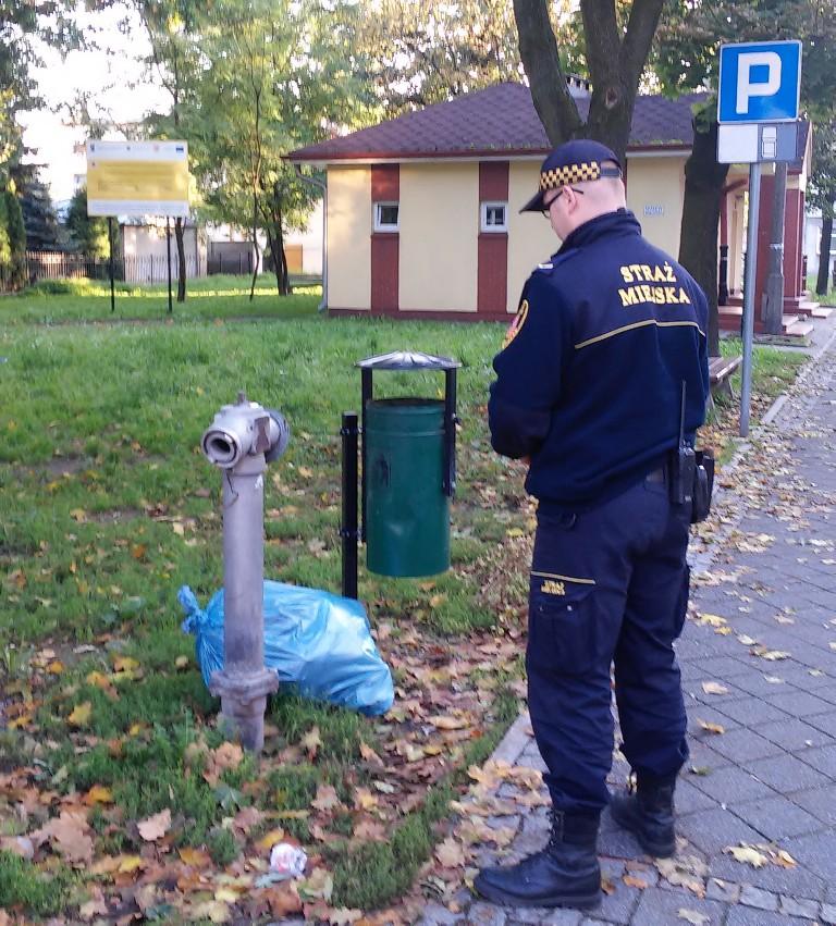 Domowe odpady obok ulicznego kosza