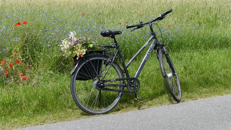 Rowerowy Inowrocław ponownie wyróżniony
