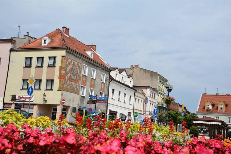 Zostań ogrodnikiem roku