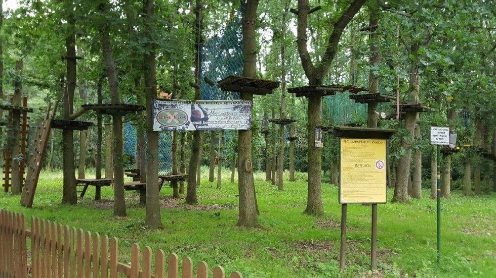 Park Linowy w naprawie