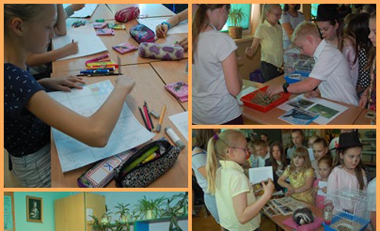 Biblioteka porusza w SP6