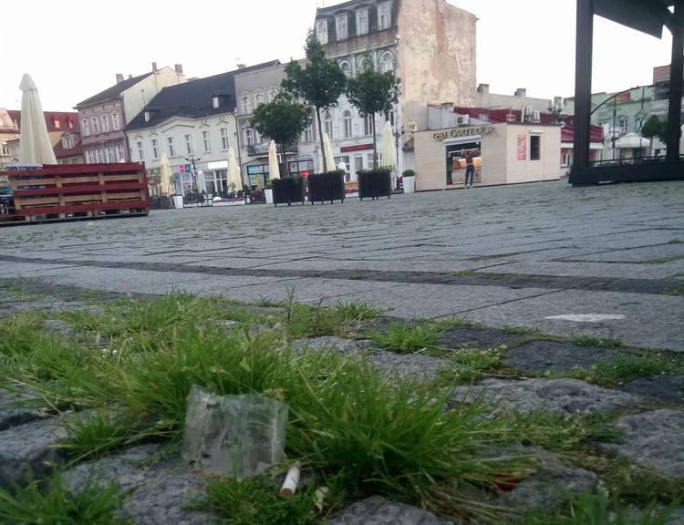 Radny Olech nadał tytuł Wielkiego ogrodnika Ryszardowi Brejzie