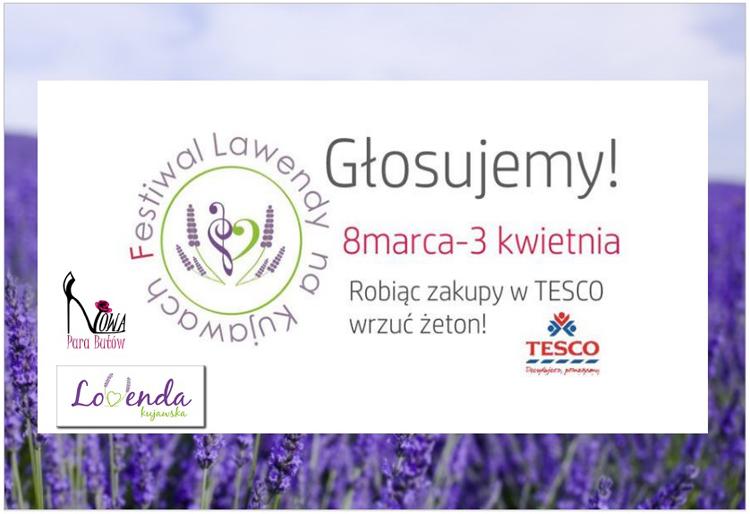 Mieszkańcy Kujawsko-Pomorskiego wybrali 8 projektów, które otrzymają granty