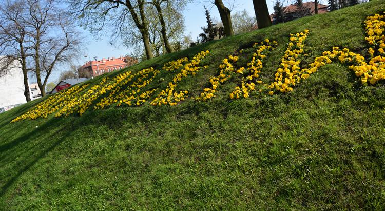Razem tworzymy Zielony Inowrocław