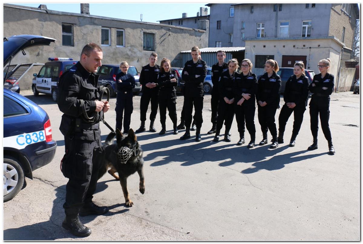 Zajęcia w komendzie policji