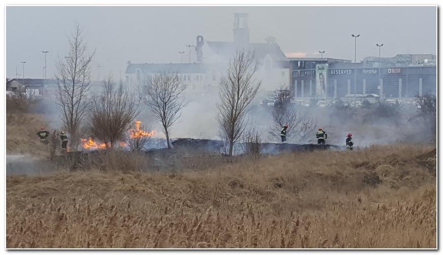 Stop pożarom traw ziemia jest tylko jedna