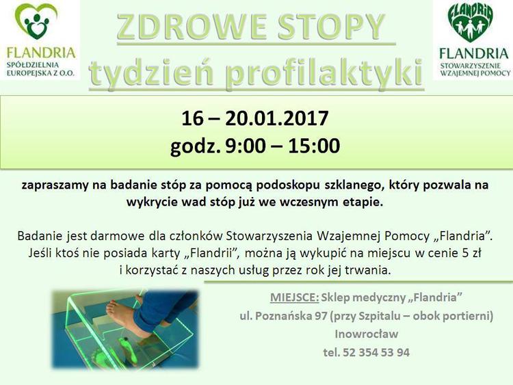 Zbadj stopy z Flandrią