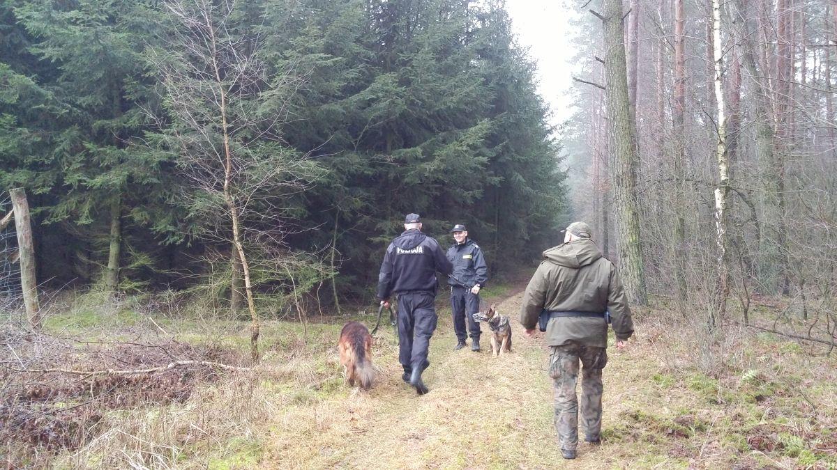 Policjanci i strażnicy leśni pilnują lasów