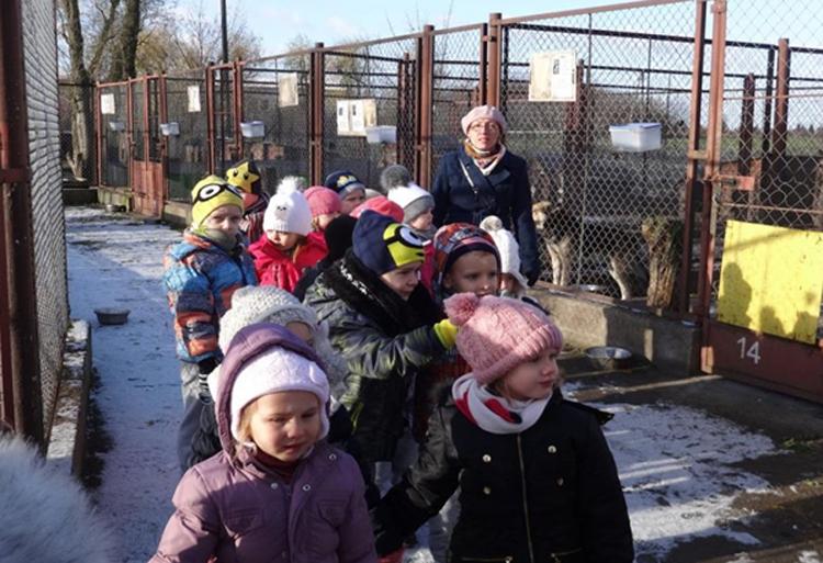 Przedszkolaki z wizytą w schronisku