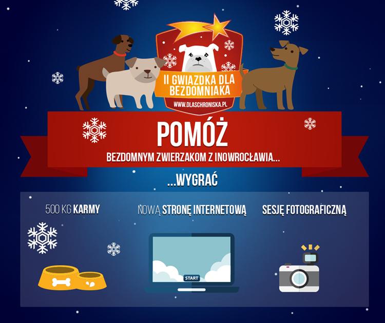 Ty też możesz podarować pół tony karmy fundacji w Inowrocławiu