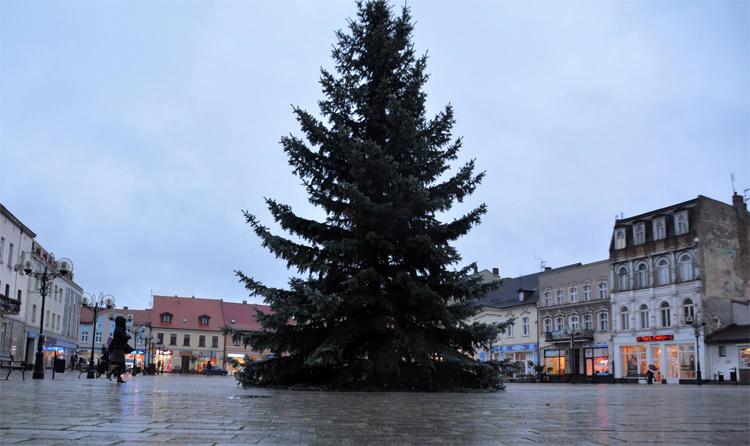 Choinka stoi już na Rynku