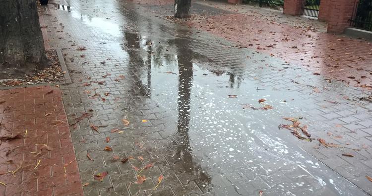 Trochę pada na ulicy Kasztanowej...