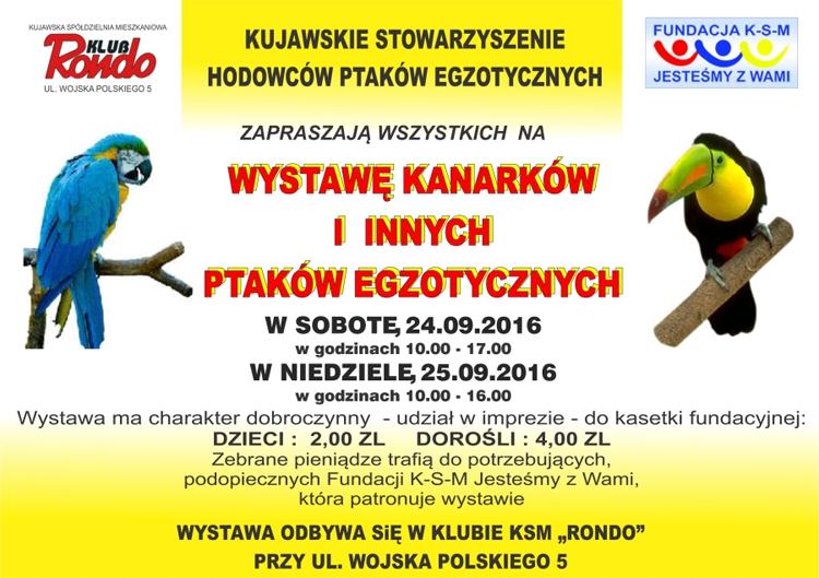Zaprezentują się kanarki i ptaki egzotyczne