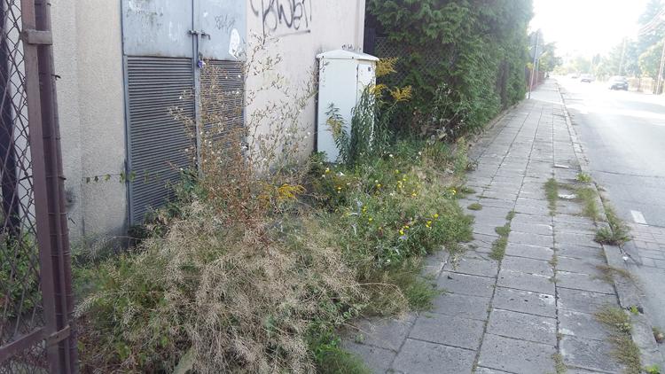 Zadbajmy o ulice na Cegielni