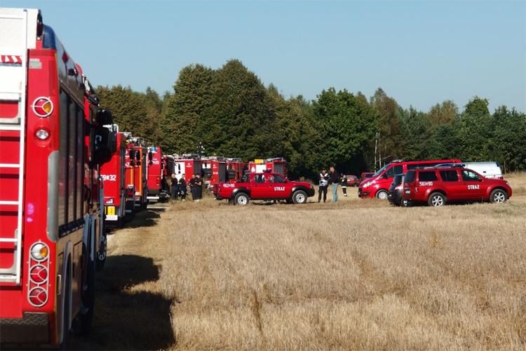 Wspólne ćwieczenia policji, strażaków i leśników