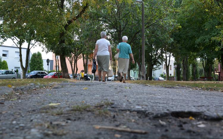 Alejki w parku na osiedlu Piastowskim znacznie wypięknieją