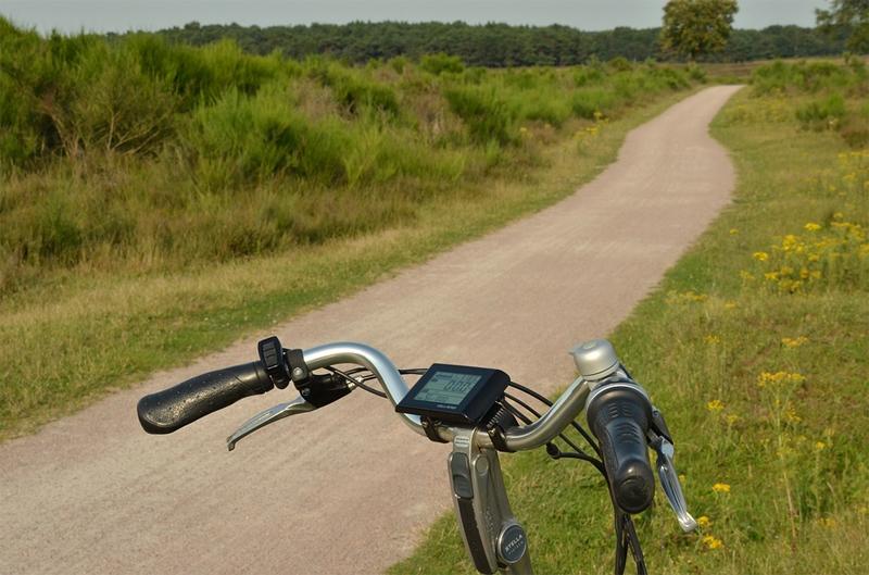 Przyjemne z pożytecznym