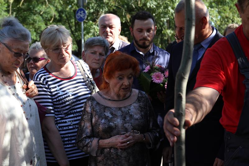 Barbara Krafftówna zasadziła drzewo